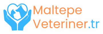 Maltepe Veteriner | Maltepe Veteriner Klinikleri